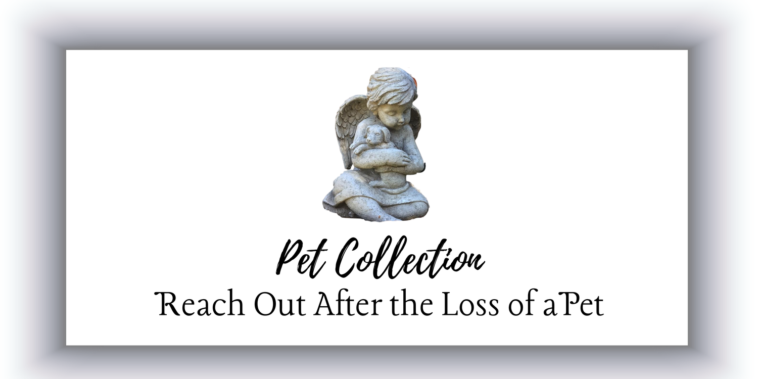 LOSS OF PET