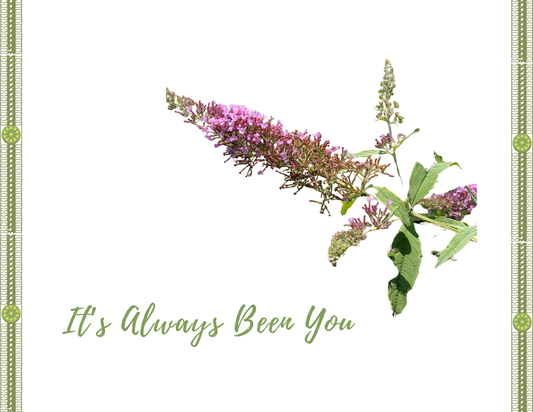IT'S ALWAYS BEEN YOU