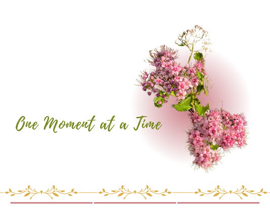 ONE MOMENT AT AT TIME