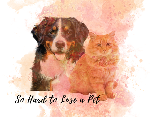 SO HARD TO LOSE A PET