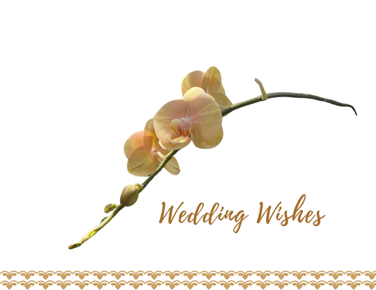WEDDING WISHES FROM AFAR
