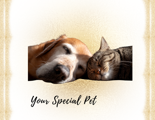 Your Special Pet